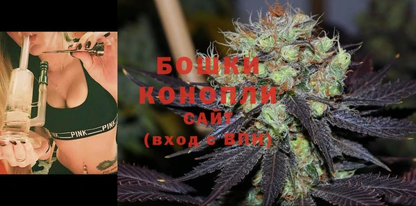 стаф Снежинск