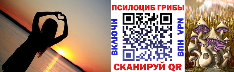 Псилоцибиновые грибы Psilocybe  Томилино 